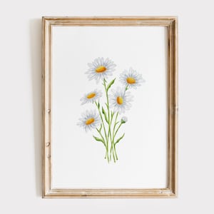 Daisy Print, Daisy Printable Wall Art, Daisy Wall Art, Flower Poster, Boho Girls Room Print, Daisy Nursery Wall Decor, Wildflower Botanical
