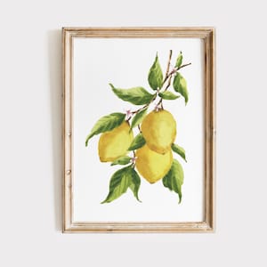 Zitronenzweig Art Printable | Vintage Poster | Essen Kunst Poster | Obst Poster | Kunst für Küche | Digitaler Download | Citrus DRUCKBAR