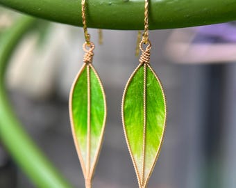 Pode incluir: Brincos em forma de folha com uma estrutura de arame dourado e um gradiente de verde e branco. Os brincos são suspensos por fios de orelha dourados. O texto "KALTE FLAMME" está na parte inferior da imagem.