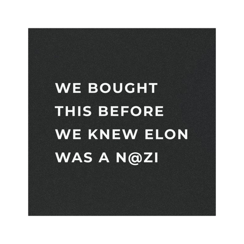 Anti-Elon Magnet 2 Stück - Tesla Accessoire Mit Humorvollem Design