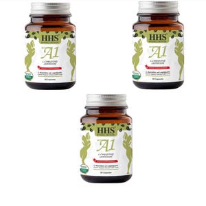 Puede incluir: Tres frascos de vidrio marr&oacute;n con tapas plateadas, cada uno etiquetado con "HHS" y "A1 L-Carnitine Lepidium" en blanco y verde. Las etiquetas tambi&eacute;n presentan una silueta verde estilizada de una persona. Cada frasco contiene 30 c&aacute;psulas.