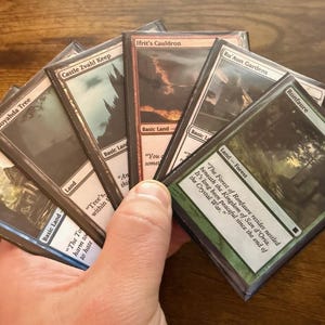 FFXI 基本土地セット (19 枚のカード) | MTG プロキシ カード