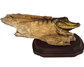 Young Life Original Baby Alligator Sculpture by Rick Cain 2021