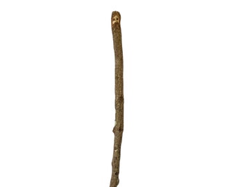 Woodland Walker Rick Cain Original Walking Stick Sculpture 2023