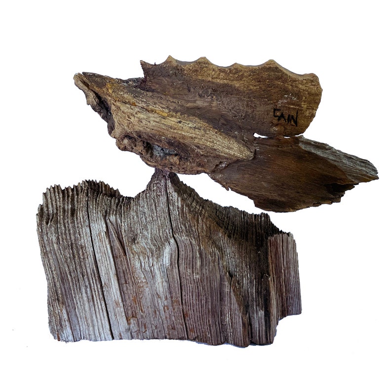 King Fish Original Rick Cain Wooden Sculpture 2021 image 4