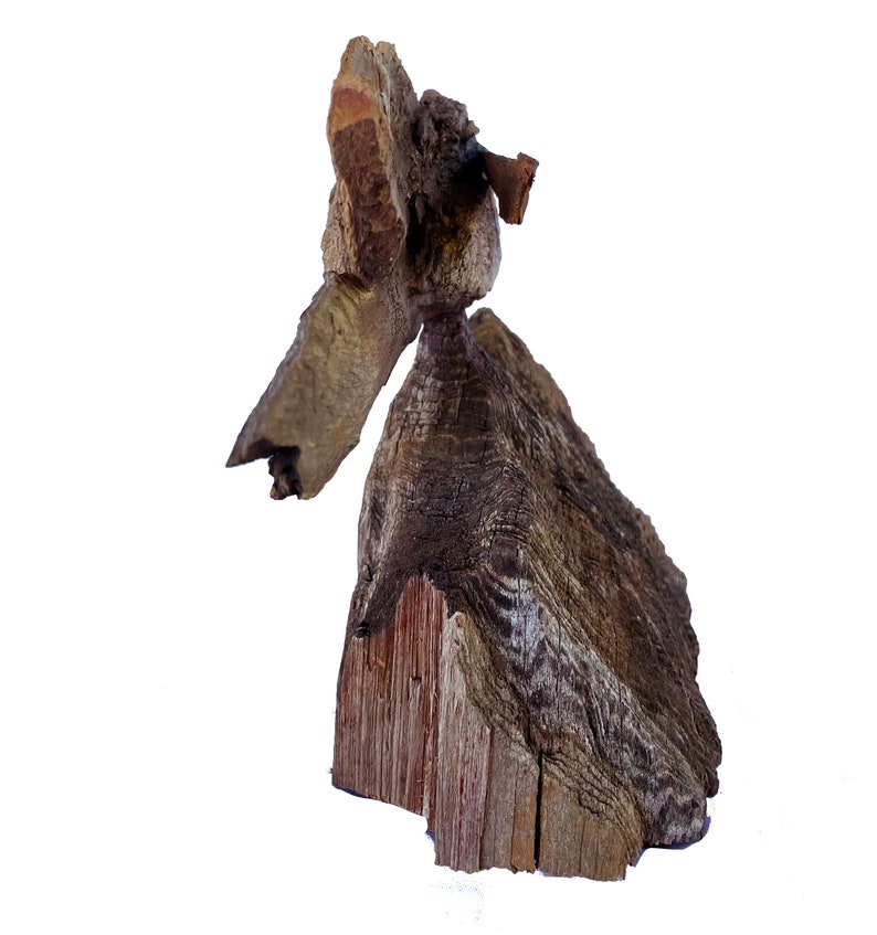 King Fish Original Rick Cain Wooden Sculpture 2021 image 5
