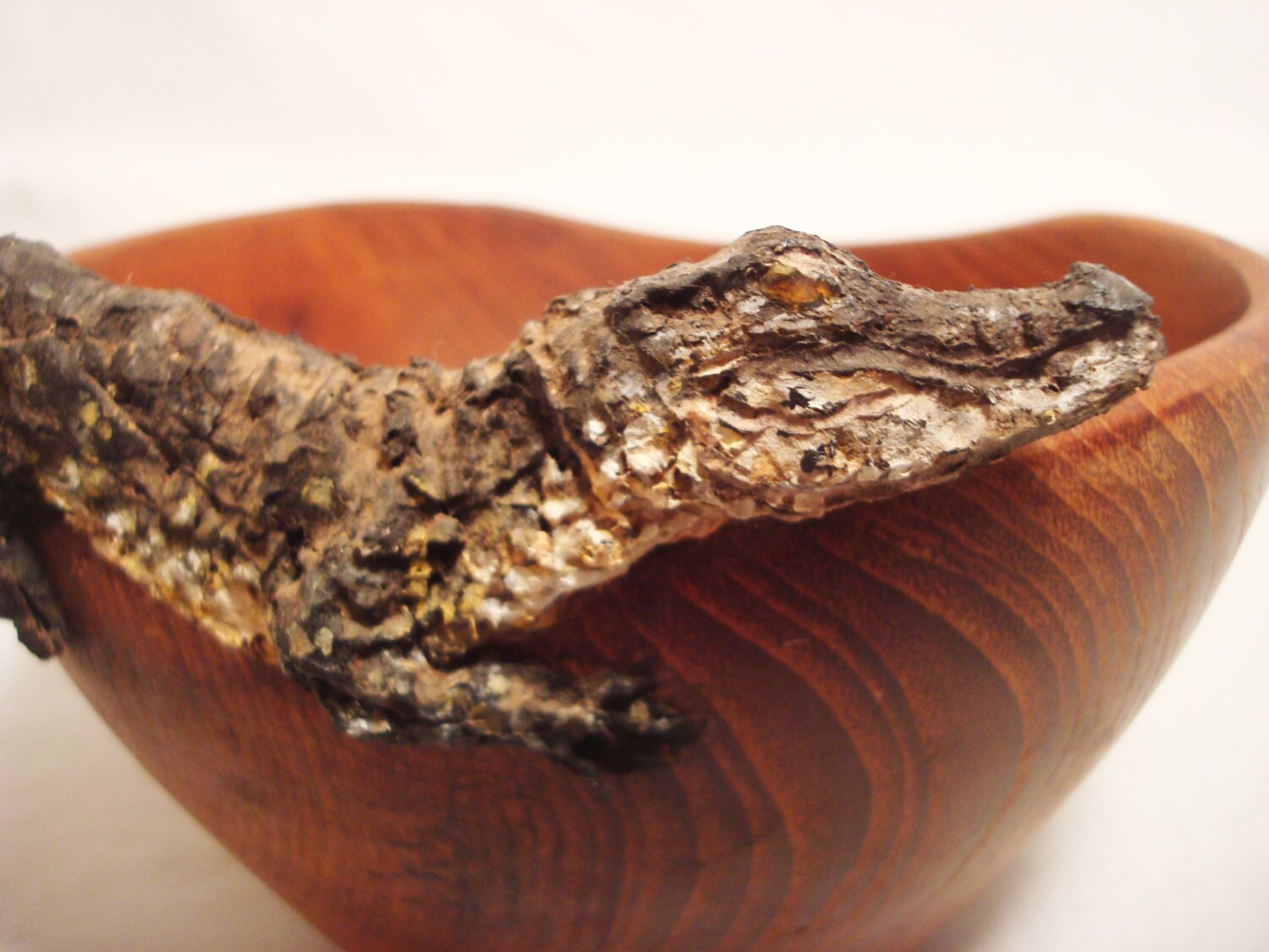 Gator Bowl Etsy