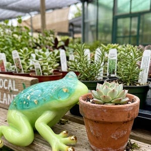 May include: A light green frog figurine with a teal-tinted back and gold-painted toes sits next to a small terracotta pot containing a succulent. A wooden sign with the text LOCAL PLANTS is positioned behind the frog near various potted plants.