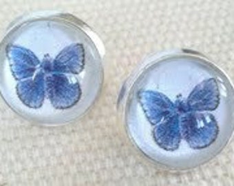 Butterfly Stud Earrings. Hand made in Brooklyn. Lovely blue Butterflies under Crystal clear Glass domes.