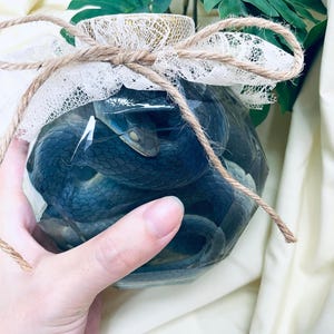 May include: A dark blue snake coiled inside a clear glass jar. The jar is sealed with a white lace and twine bow. The snake's head is visible, with a light-colored eye.