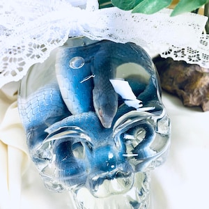 Puede incluir: Un recipiente transparente en forma de calavera encierra una serpiente azul. La serpiente está enrollada dentro del recipiente, con la cabeza visible. Una cinta de encaje blanco adorna la parte superior. El fondo es de un color suave y neutro.