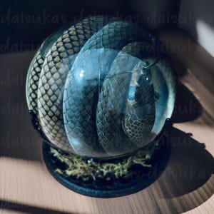 May include: A glass sphere with a coiled snake inside. The snake is preserved and has a dark green and brown color. The sphere is on a black base with moss-like material.