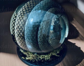 Real Cute Snake Wet Specimen in Jar Taxidermy Art Oddity Curiosities Decor Gift Novelty Goth Reptile Creepy Horror Oddity, Handmade Gifts