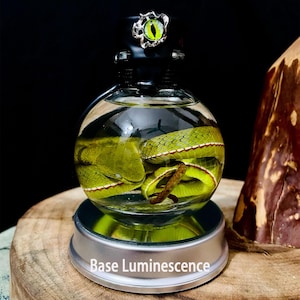 Puede incluir: Una serpiente verde preservada en un orbe de vidrio transparente con una tapa negra y un diseño de ojo verde. El orbe está sobre una base plateada con las palabras "Base Luminescence" impresas en él.
