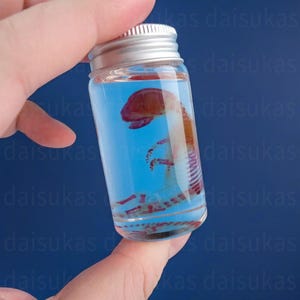 以下が含まれることがあります： 銀色の蓋が付いた透明なガラス瓶の中に、ピンクと白の小さな動物の標本が保存されています。動物は瓶の中で丸まっています。