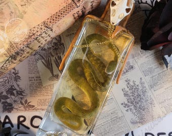 Real Wet Snake Specimen, Green Bamboo Snake Specimen, Gothic Decoration, Exotic Gift, Natural Academic Research, Clean And Complete Bottled