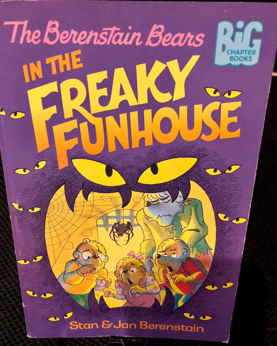 The Berenstain Bears “in the Freaky Funhouse” by Stan and Jan ...