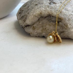 Elly’s 8.1mm South Sea deep tea Gold ocean Pearl Shell pendant: Extreme luster mirrored, 1.1x1.5cm, S925 silver pendant.