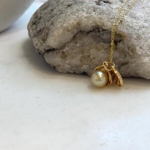 Elly’s 8.1mm South Sea deep tea Gold ocean Pearl Shell pendant: Extreme luster mirrored, 1.1x1.5cm, S925 silver pendant.