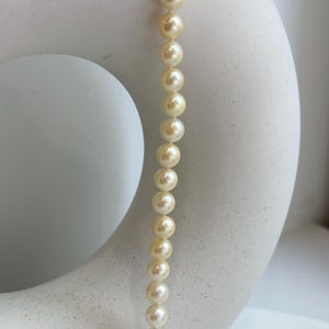 6.4-7mm 61pcs Akoya Light gold to Gold genius round ocean pearls necklace choker gift for anniversary wedding gift. 18.5” knotted