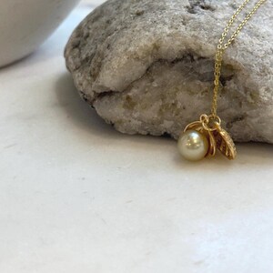 Elly’s 8.1mm South Sea deep tea Gold ocean Pearl Shell pendant: Extreme luster mirrored, 1.1x1.5cm, S925 silver pendant.