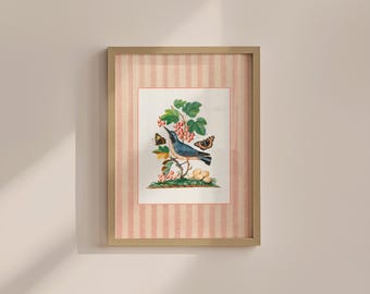 Vintage Bird Art Print: Antique Sketch for Neutral Farmhouse Decor