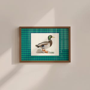Green Mallard duck print, vintage pattern print, whimsical vintage aesthetic coquette nursery decor, Boys room wall decor, Baby shower gift