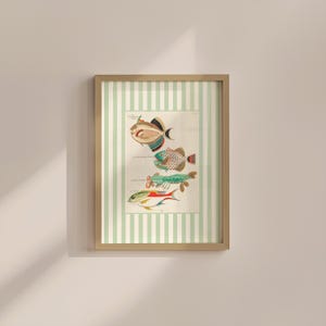 Vismuurkunst: vintage gestreepte illustratie - digitale download