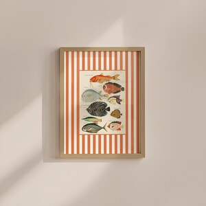 Colorful Vintage Fish Print: French Art for Kitchen or Nursery
