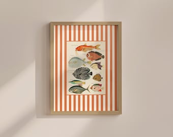 Colorful Vintage Fish Print: French Art for Kitchen or Nursery