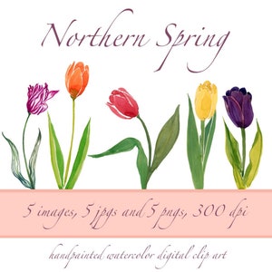 Watercolor Tulip ClipArt, Spring Flower Clipart, Springtime Bouquet Clipart