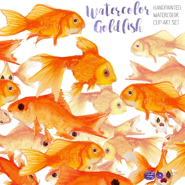 Watercolor Goldfish, Fish Clip Art, Nature clipart, Wild Animals,  Fauna Clipart, Animal Art