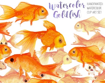 Watercolor Goldfish, Fish Clip Art, Nature clipart, Wild Animals,  Fauna Clipart, Animal Art