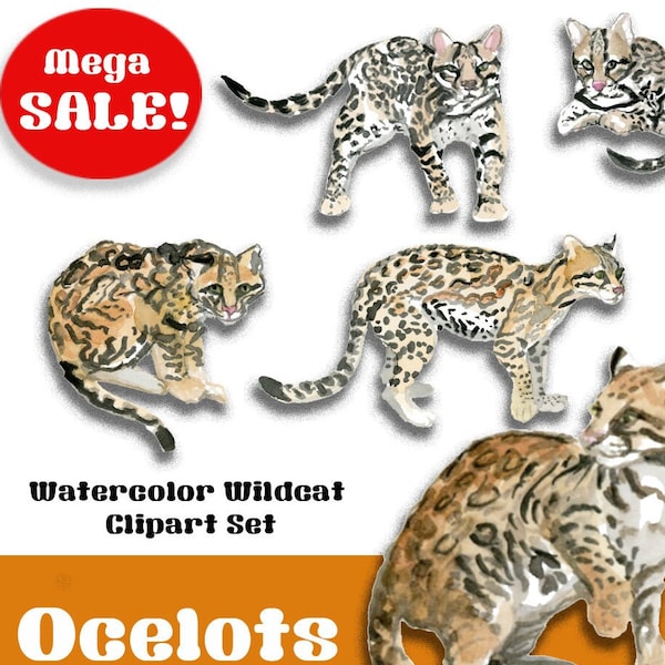 Watercolor Wildcats PNG and JPG Clipart | Leopard PNG | Ocelot Art | Feline Decor Graphics