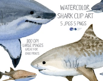 Watercolor Sharks, Great White Clipart, Whale Shark Clipart, Mako Shark Clipart, Nauticals, Whale Clipart, Summer Clipart, Beach Clipart