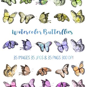 Cute Watercolor Butterfly Clip Art, Rainbow Butterflies Clip Art PNG and JPG image 2