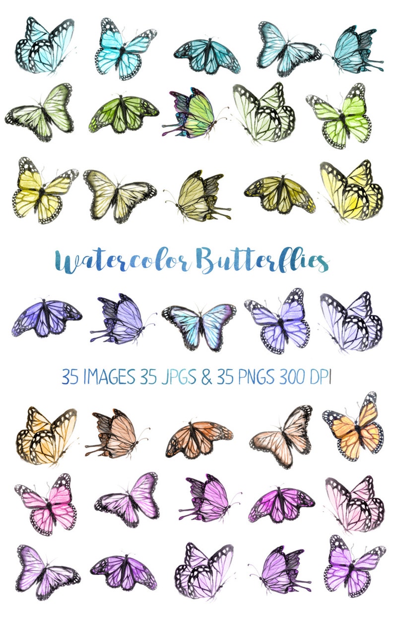 Cute Watercolor Butterfly Clip Art, Rainbow Butterflies Clip Art PNG and JPG image 2