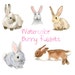 see more listings in the ANIMAL CLIPART section