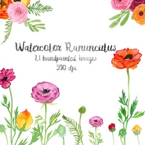 Spring Clipart: Watercolor Ranunculus Flowers, Floral Clip Art, Watercolor Flower Clip Art, Floral Elements, Digital Clipart