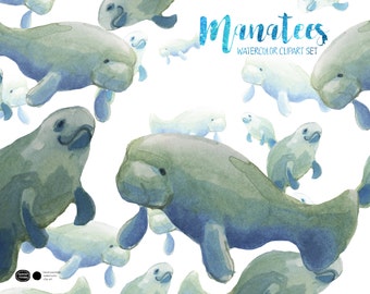 Clipart z manatem akwarelowym, grafika zwierząt oceanicznych (pobieranie cyfrowe)