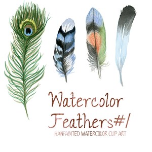 Watercolor Feathers, Feather Clip Art, Nature clipart, Forest Clip Art, Wild Animals,  Fauna Clipart, Animal Art