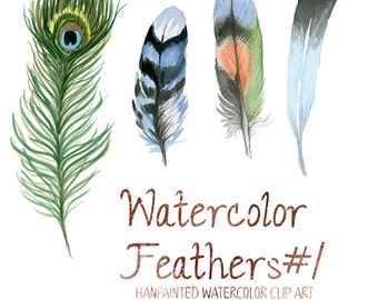 Watercolor Feathers, Feather Clip Art, Nature clipart, Forest Clip Art, Wild Animals,  Fauna Clipart, Animal Art