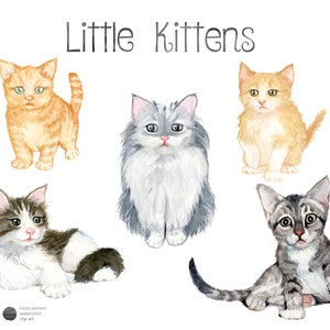 Watercolor Kittens, Kitten Clip Art, Kitten clipart, Cat Clip Art, Cute Animals,  Kitty Clipart, Animal Art