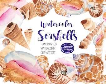 Watercolor Seashells, Beach Clipart, Summer Clipart, Summertime, Ocean Clip Art, Nature clipart, Wild Animals,  Fauna Clipart, Animal Art