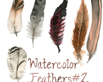 Watercolor Feathers, Feather Clip Art, Nature clipart, Forest Clip Art, Wild Animals,  Fauna Clipart, Animal Art