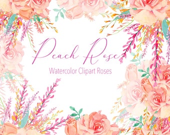 Peach Rose Watercolor Clipart: Floral Summer Art (Digital Download)