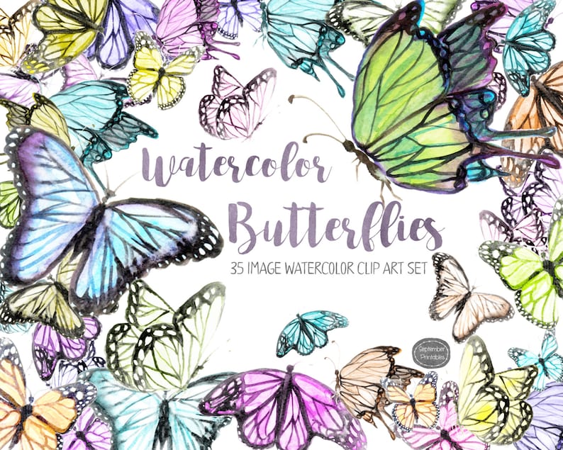 Cute Watercolor Butterfly Clip Art, Rainbow Butterflies Clip Art PNG and JPG image 1