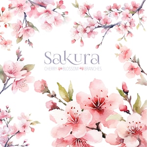 Aquarell Kirschblüten Clipart - Kirschblüten PNGs - Kirschblüten EPS