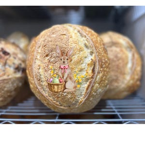Easter bunny Wafer Paper- Includes 1 edible image - Sourdough edible image-  happy Easter