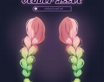 Rigged Ombre Braid Hair Asset Set for VTube Studio - 6 Color Variations - Vtuber Items